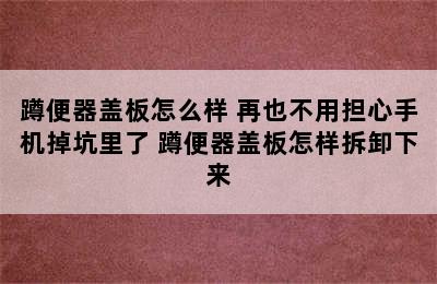 蹲便器盖板怎么样 再也不用担心手机掉坑里了 蹲便器盖板怎样拆卸下来